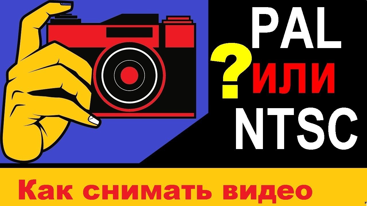 PAL или NTSC - как правильно выбрать формат и скорость видео. 7 Правил