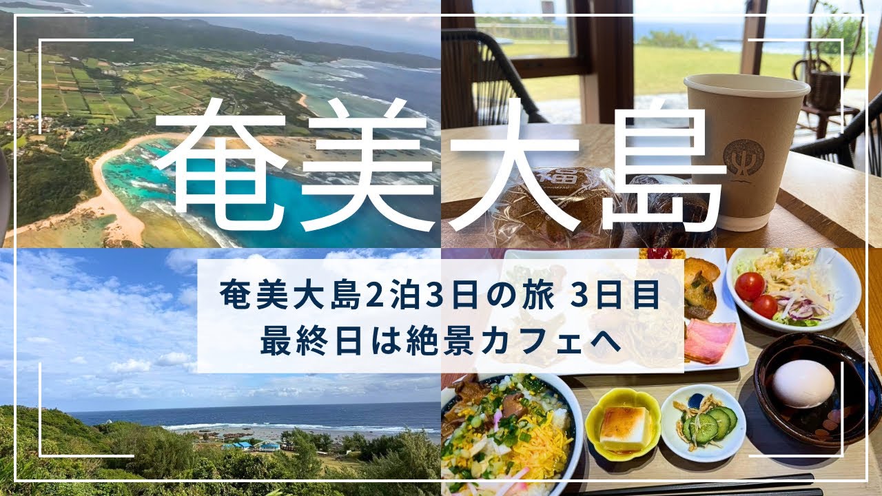 2025年12月奄美大島2泊3日の旅vol.３🌺最終日の朝は鶏飯もある和洋ビュッフェ♪絶景カフェで絶品シマ菓子🌴再び宝勢丸のお刺身を買いに。。