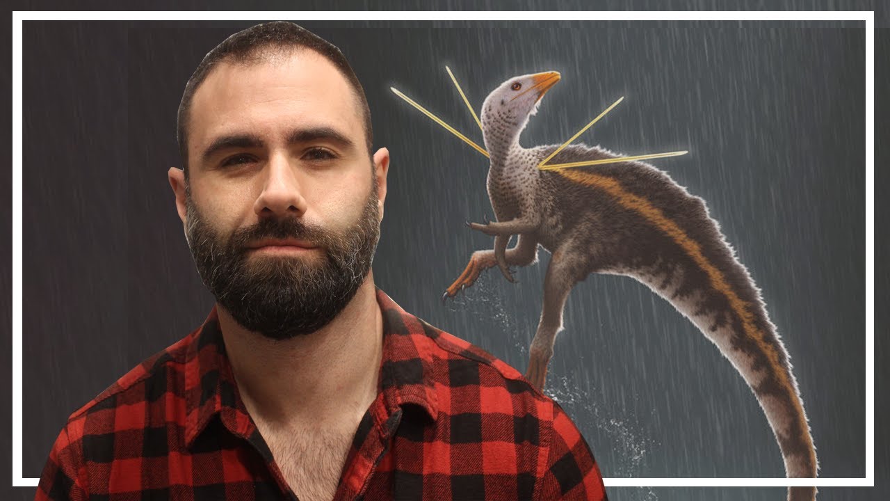 UBIRAJARA: EL INCREIBLE DINOSAURIO CON ESPINAS EN LOS HOMBROS