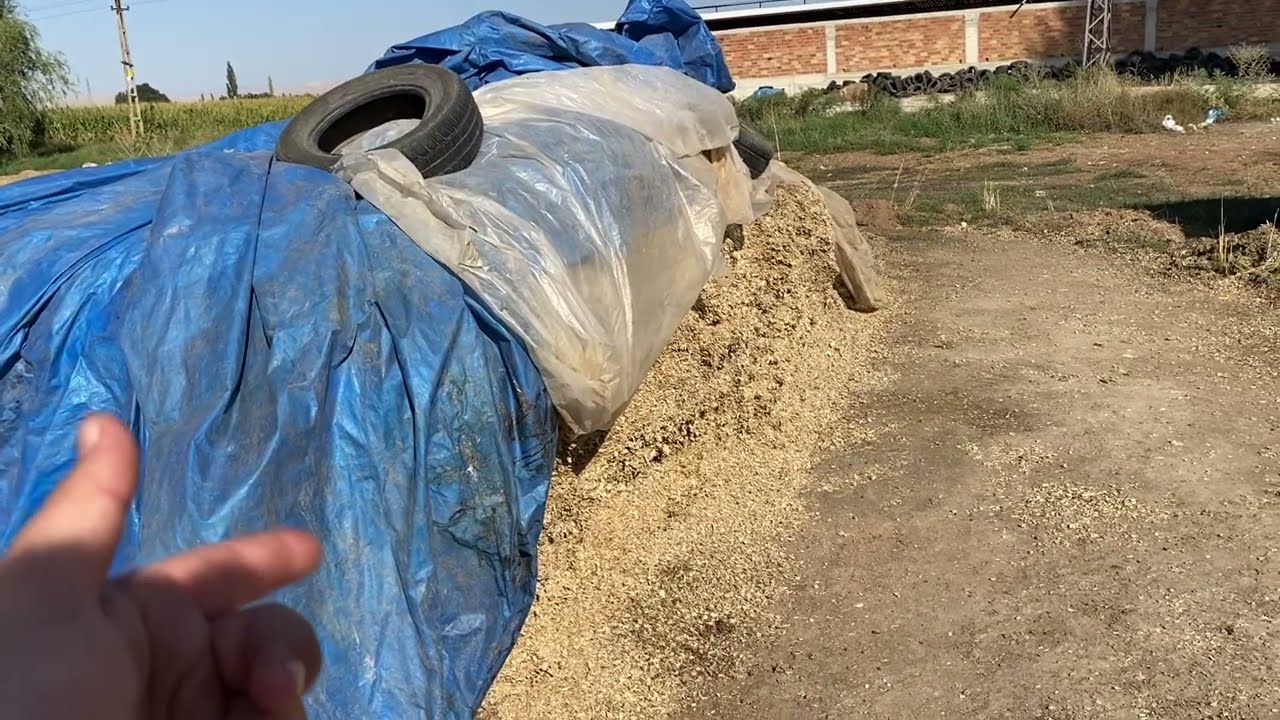 Bağ bahçem yok hayvancılık yapabilir miyim?