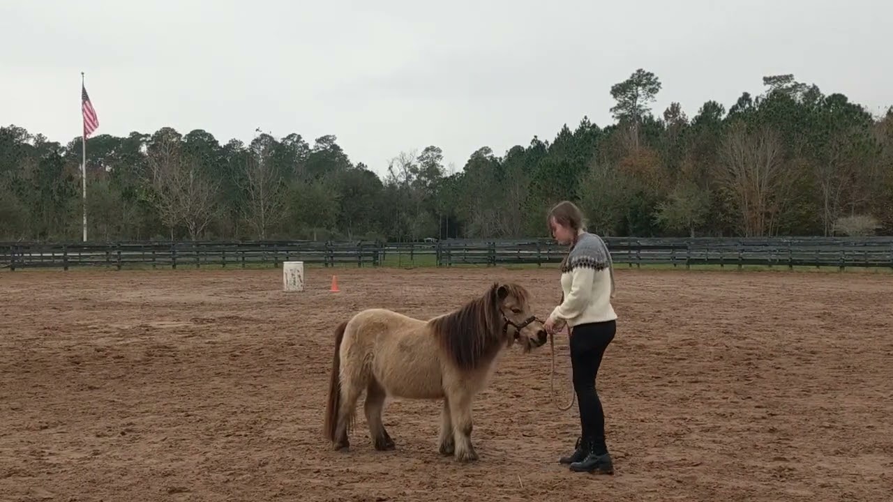 Anna - Day #1 Straightness Training Level 1. (29 Dec 2023)