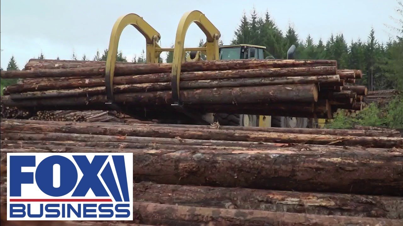 The grit and dedication in lumber production