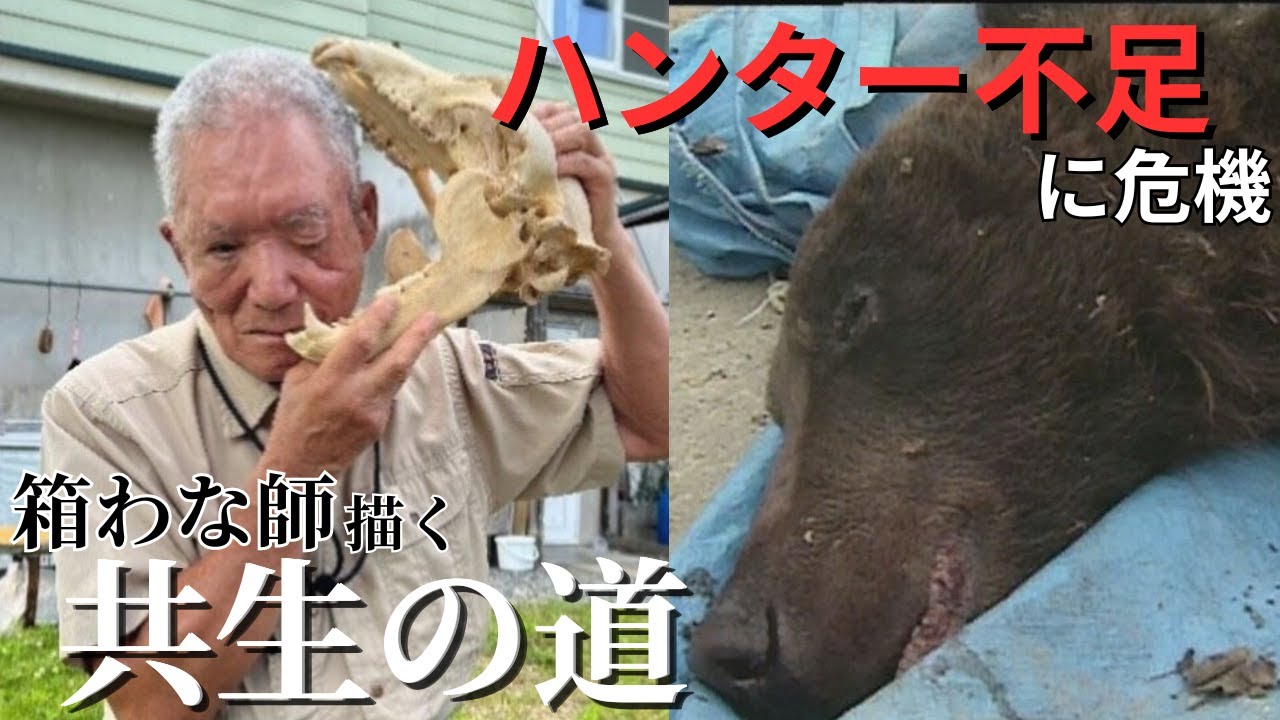 【地元猟友会ゼロ…そんな中ヒグマ出没】深刻なハンター不足に苦悩する北海道の自治体 目をかじり取られた