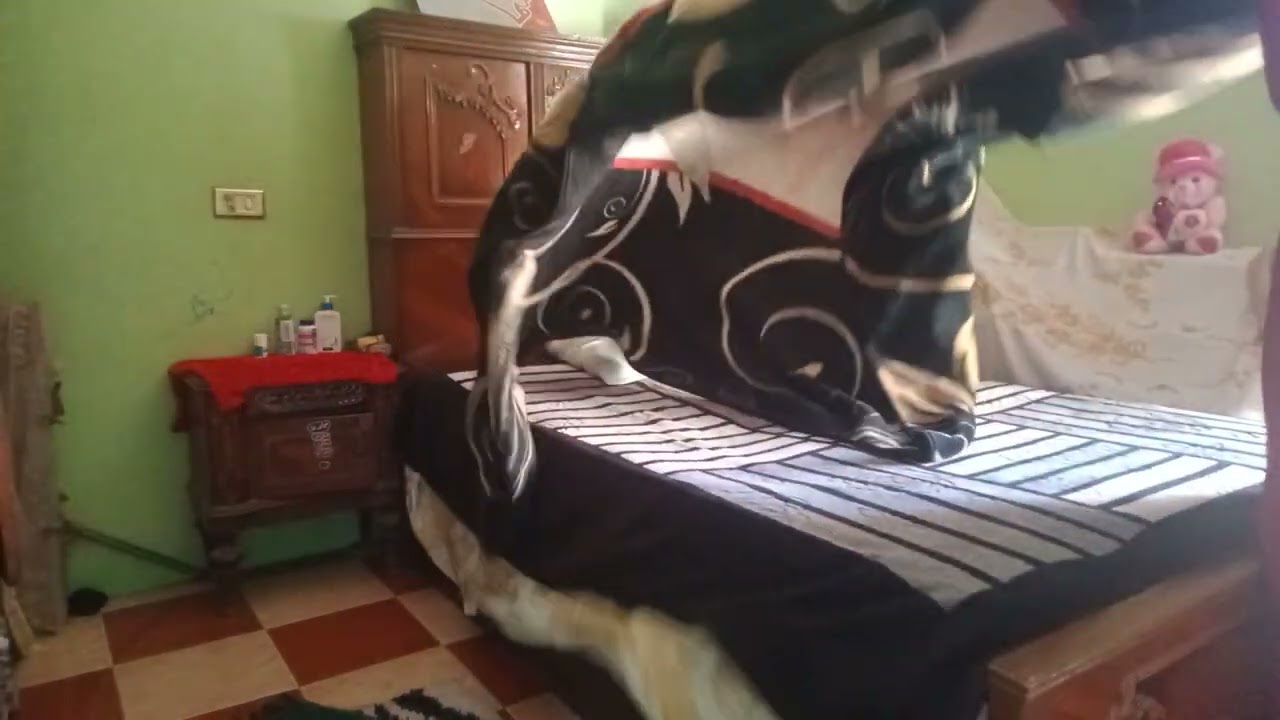 خارجه ومستعجله قومت روقت اوضتى ترويقه سريعه جداا مخدتش عشر دقايق . 