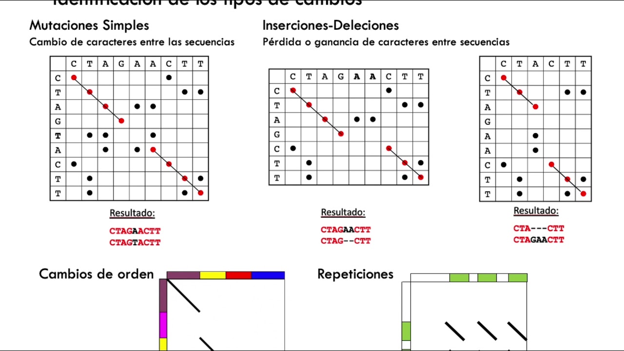 Alineamientos de secuencias (parte I) - Evaluación cualitativa (DotPlots)