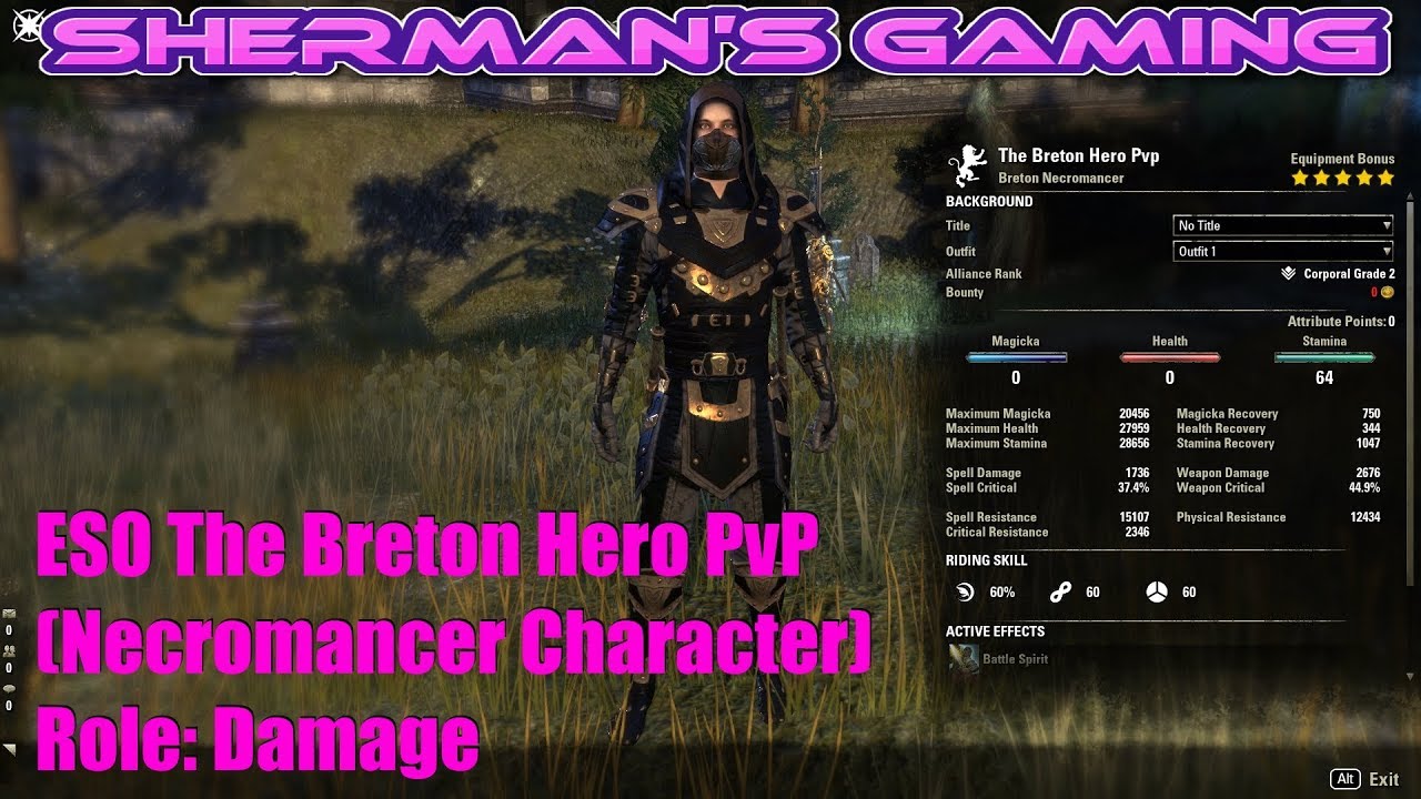 ESO The Breton Hero PvP (Necromancer Character) Role: Damage