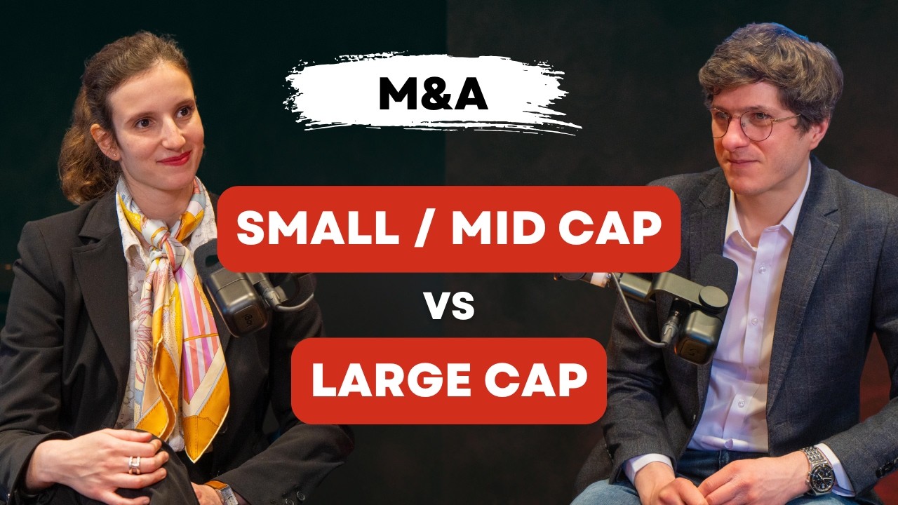 M&A : Small/Mid Cap vs Large Cap – Que choisir ?