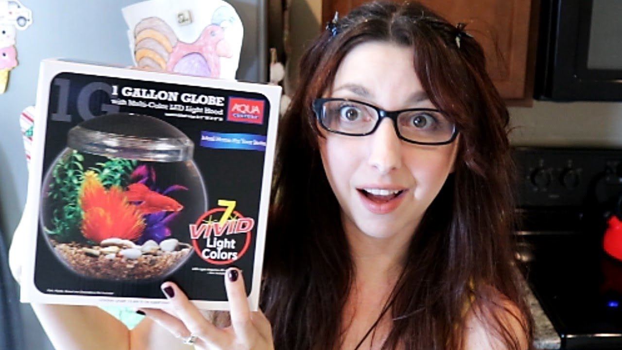 Betta Fish Tank Review | 1 Gallon Globe By Aqua Culture 🐟 Tuesday Tank Reviews