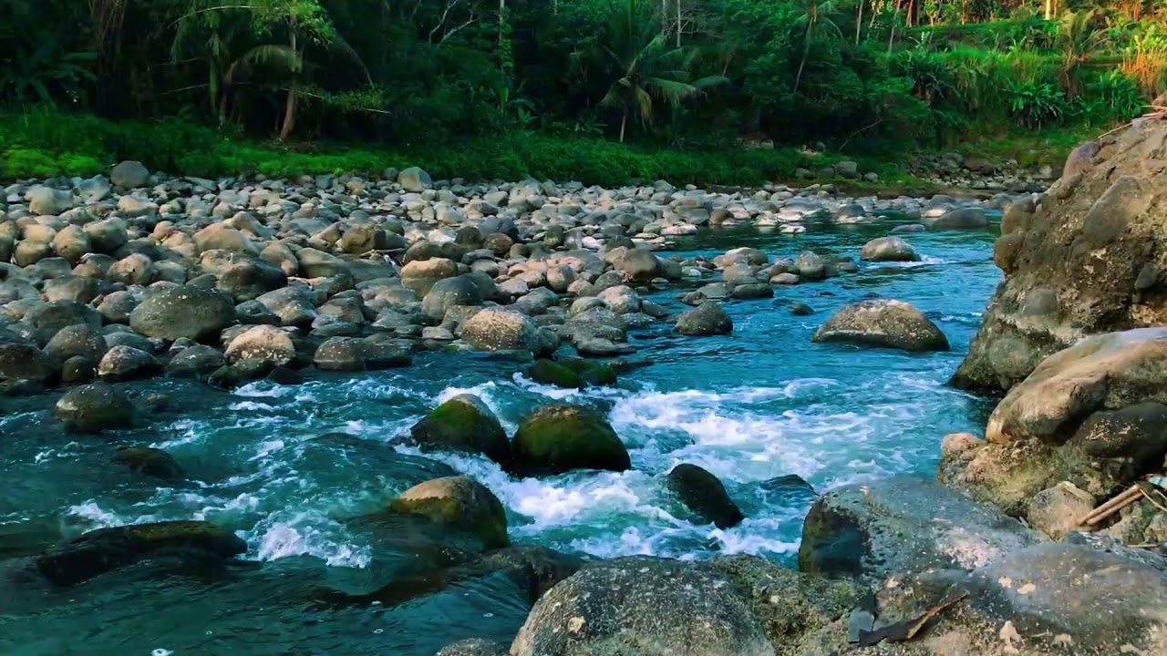Nature Sounds for Concentration, All Night Sleep