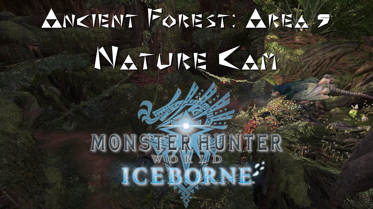 MHW: Ancient Forest: Area 5 Nature Cam