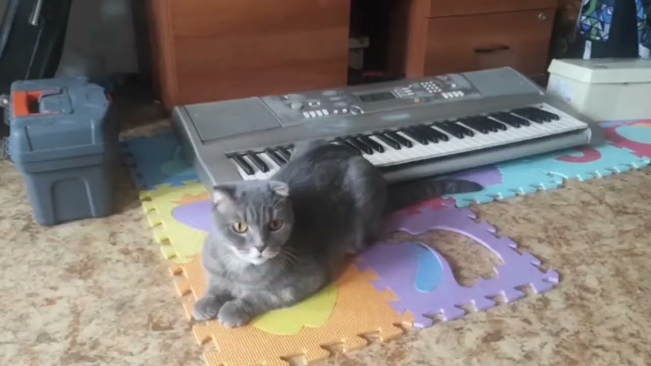 Древо