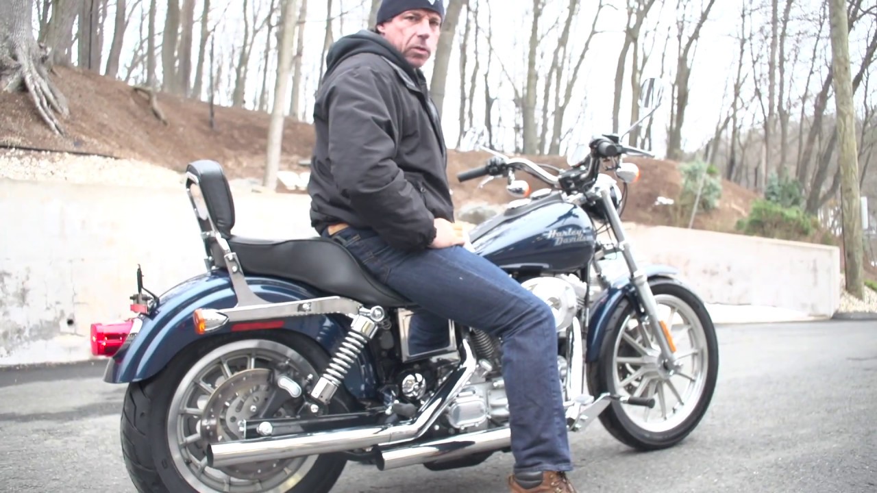 2002 Harley Davidson FXD Dyna | Stunning Blue Metallic