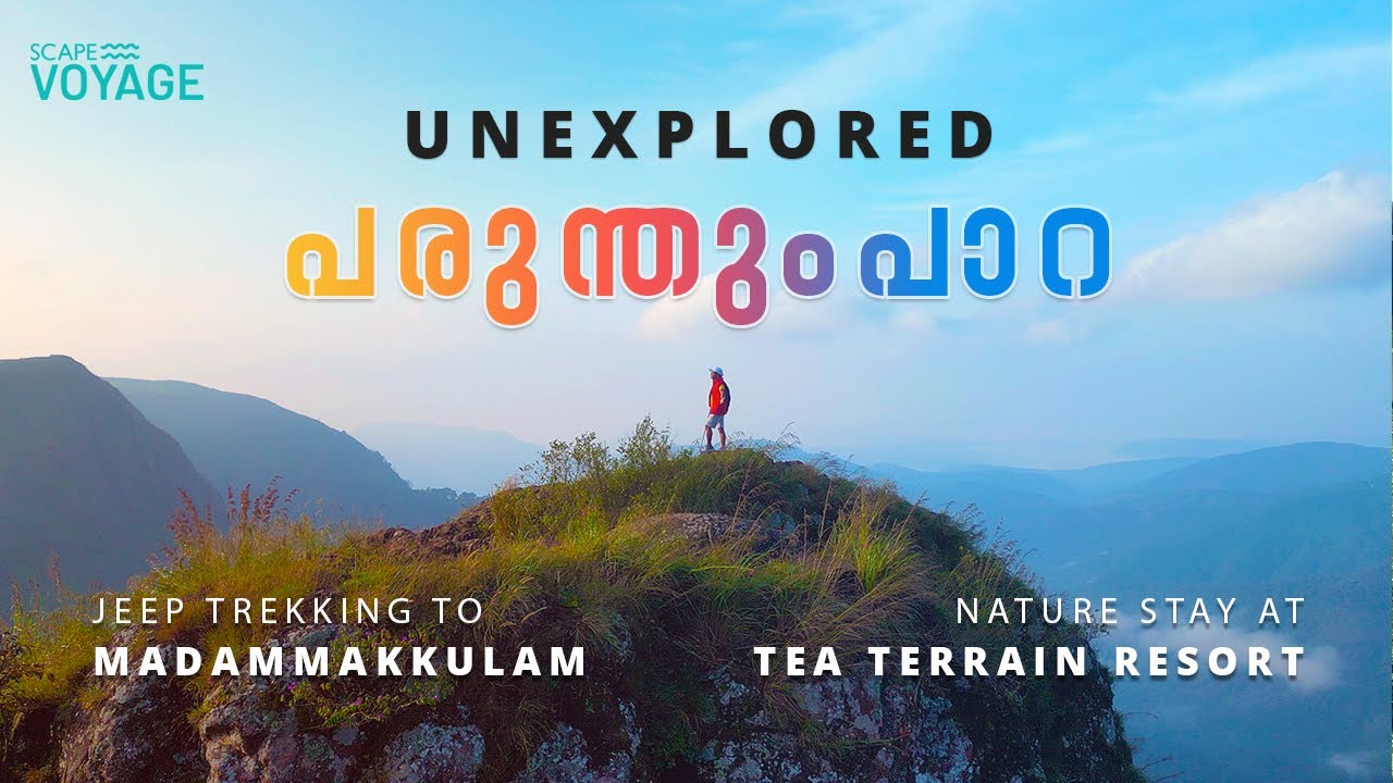 The Unexplored Parunthumpara | Nature stay at Kuttikkanam | Kuttikkanam Tourism Spots