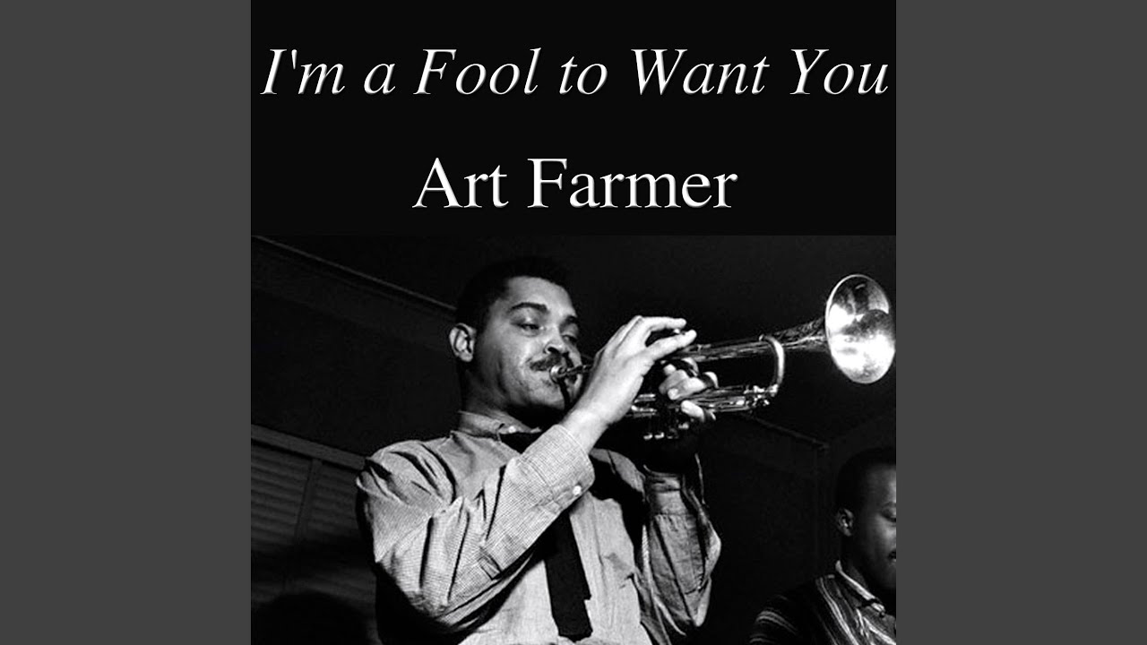 I'm a Fool to Want You
