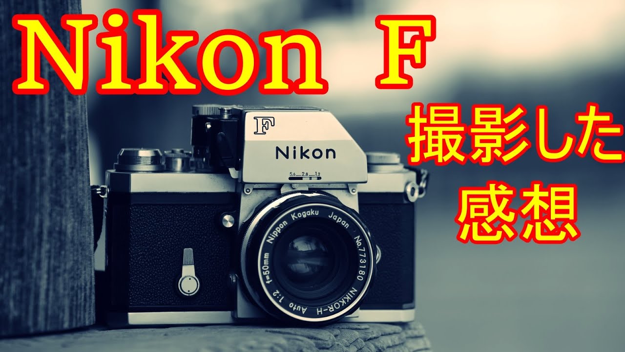 Nikon　F　最初から最後まで気持ちよく撮影　こんなに素晴らしい機種があったんですね