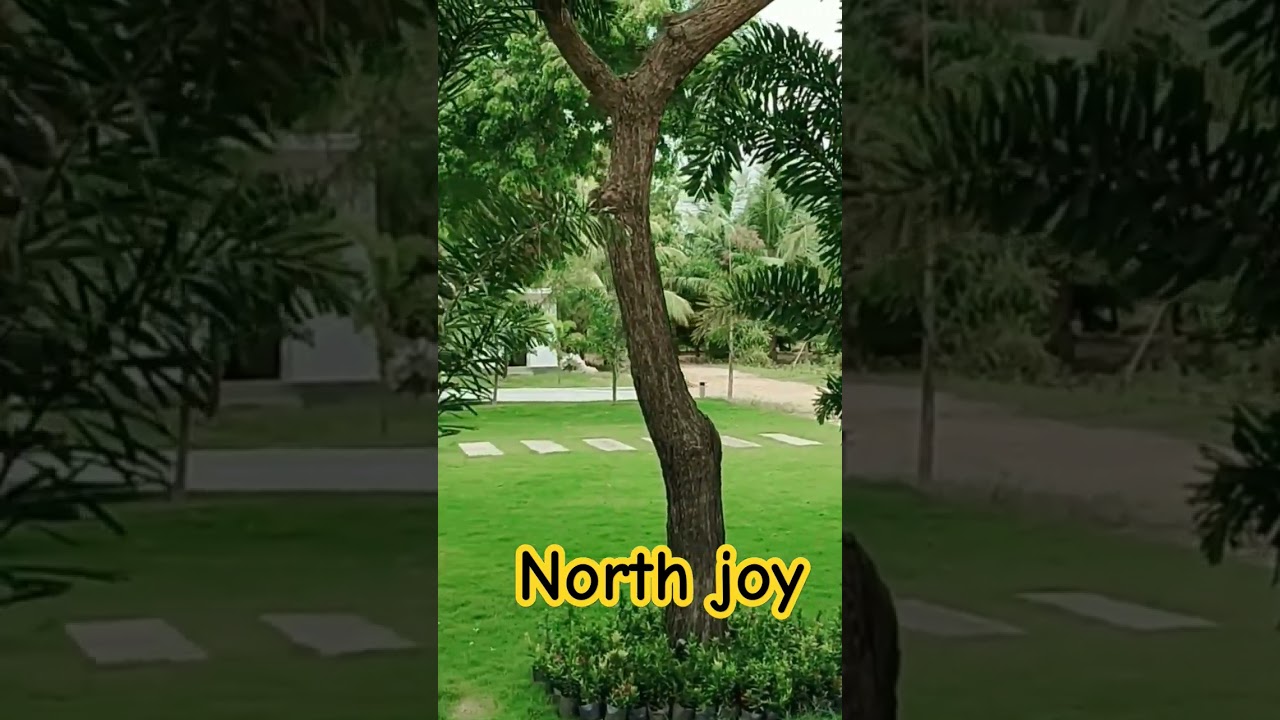 North joy hotel and resort iyakkachchi | #ytshorts #home #shorts #viralvideo #resort #travel #hotel