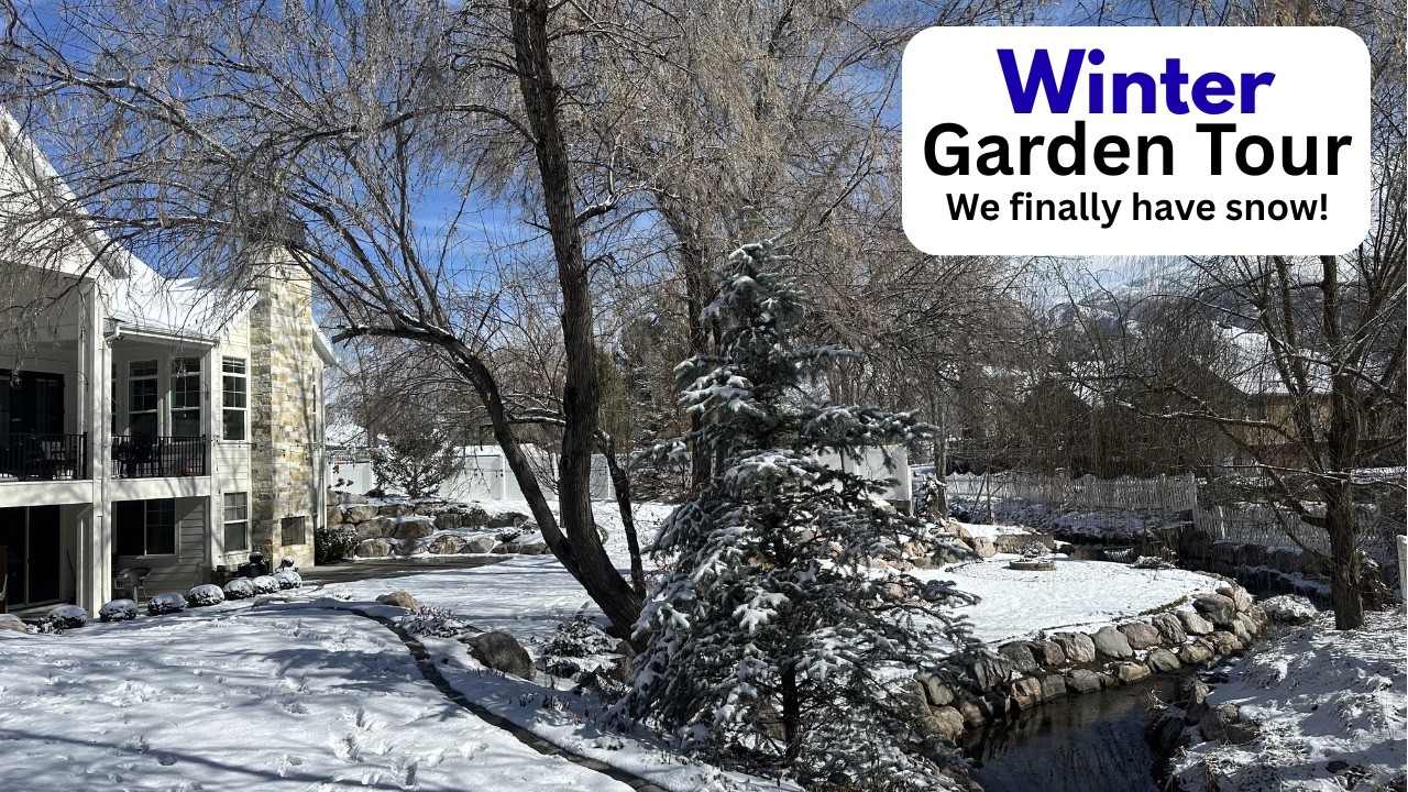 Winter Garden Tour!