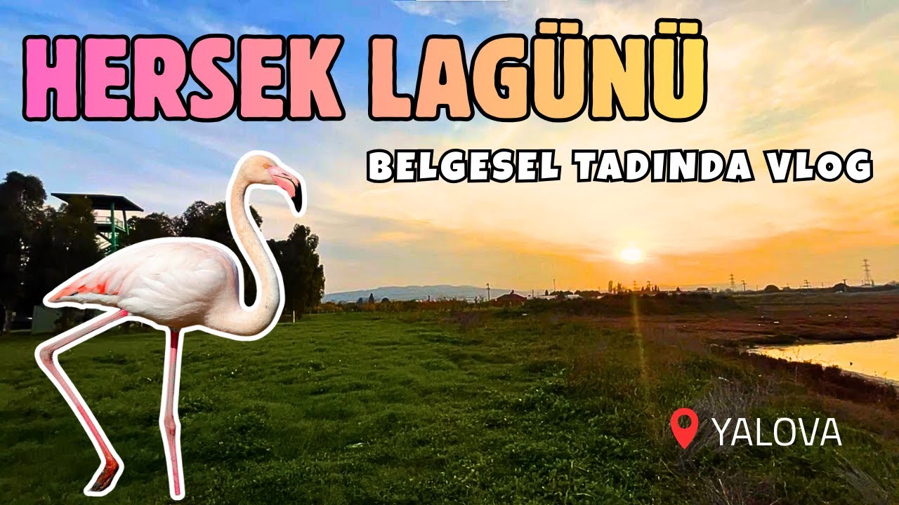 Hersek Lagünü / Yalova | Motorla Hafta Sonu Neredeyiz? Bölüm 4