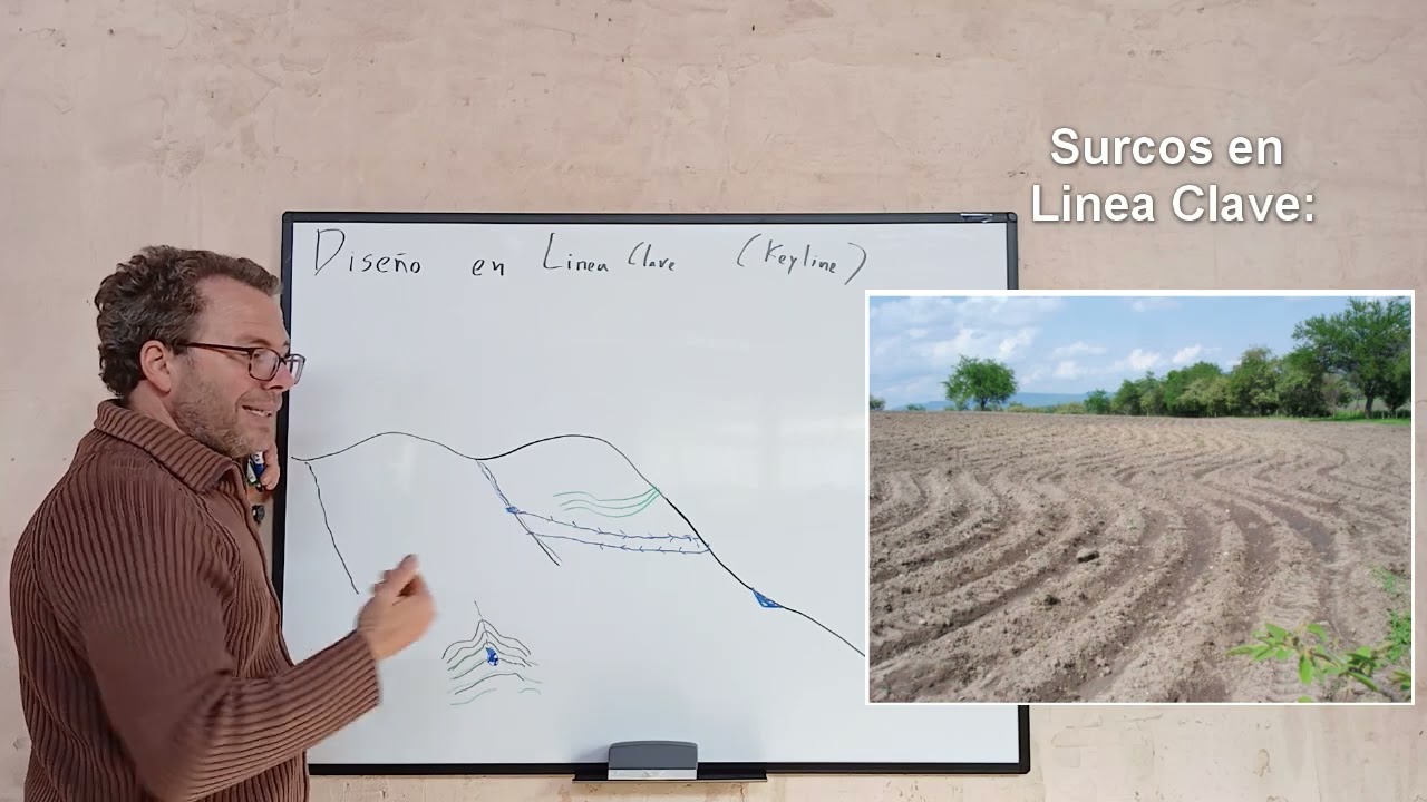 Captura de agua en Agricultura 03 Linea Clave (Keyline)