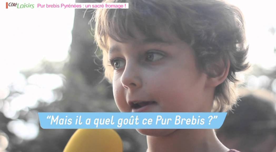 Brebis des Pyr&eacute;n&eacute;es : un sacr&eacute; fromage !