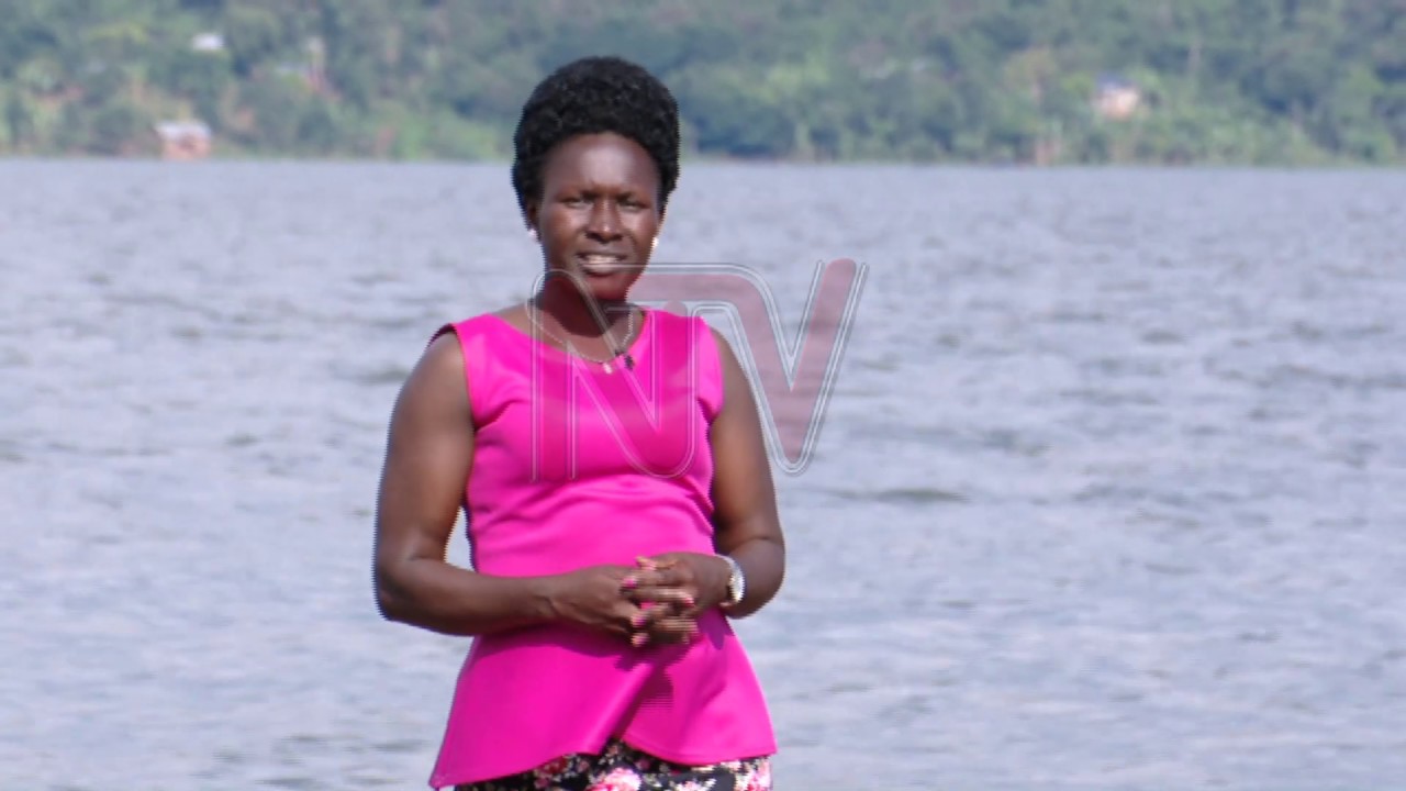 Lake Victoria waters reclaim beach land