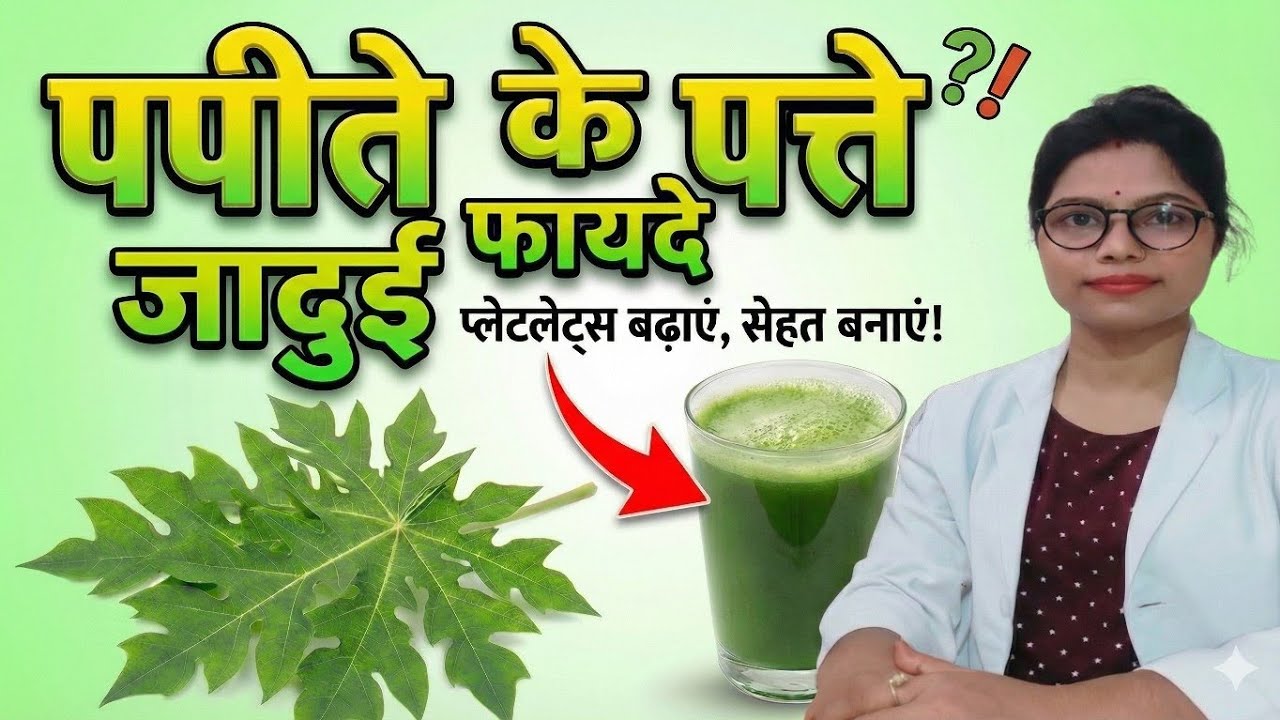 जाने पपीता के पत्ते के फायदे #benefits of papaya leaves