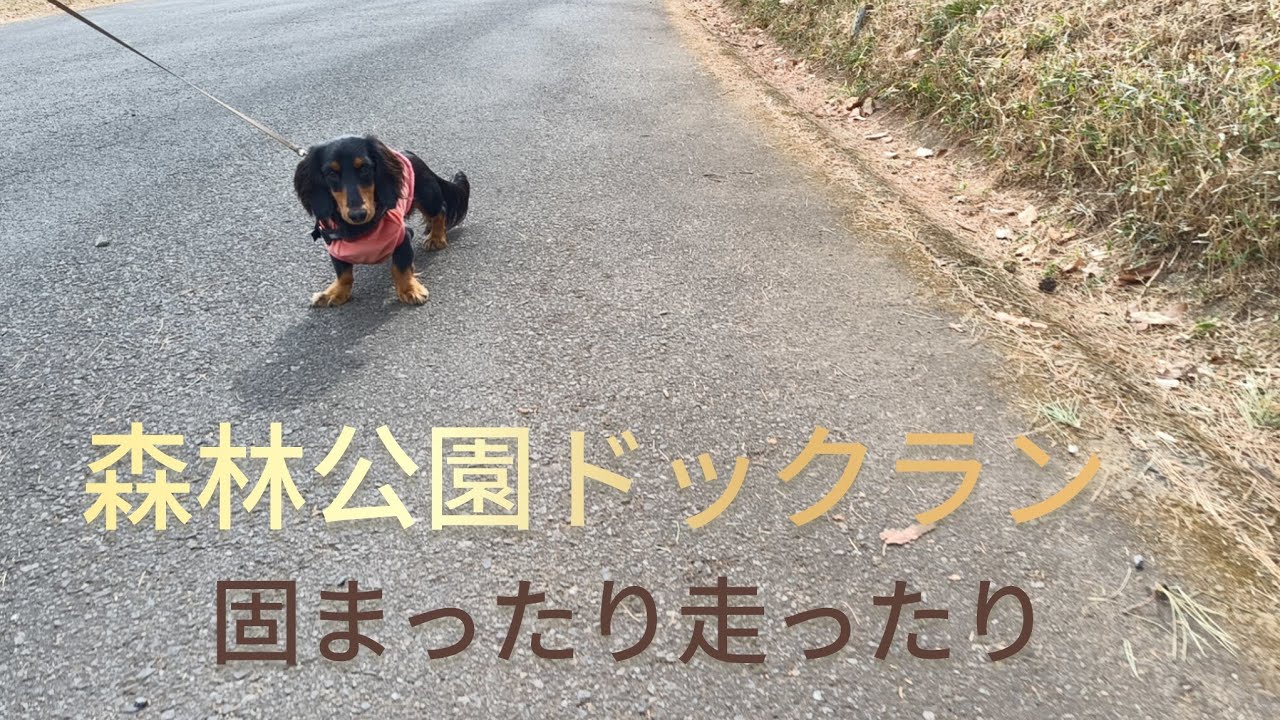 森林公園へ遊びに行きました！