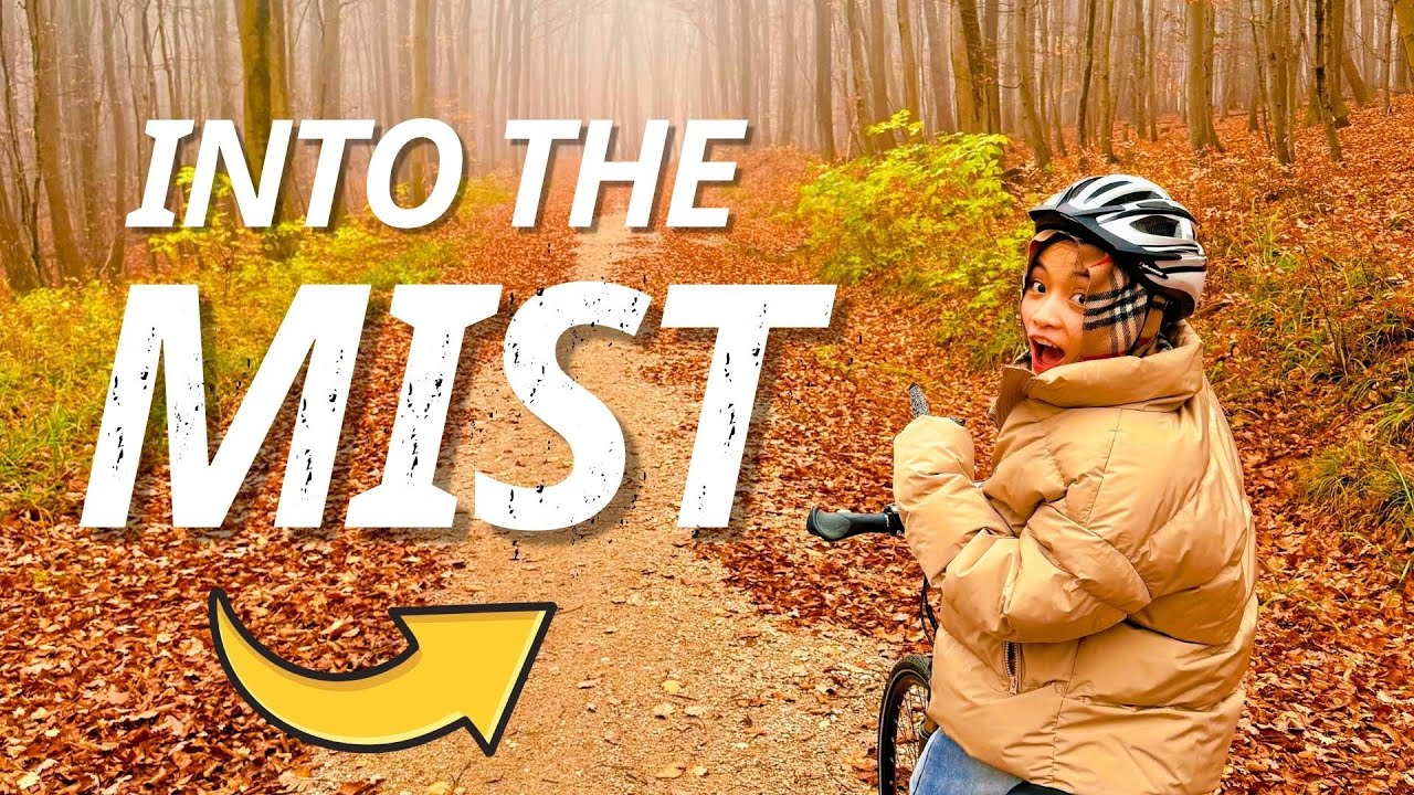 cycling in foggy Austrian forest I austria travel diary eps 2