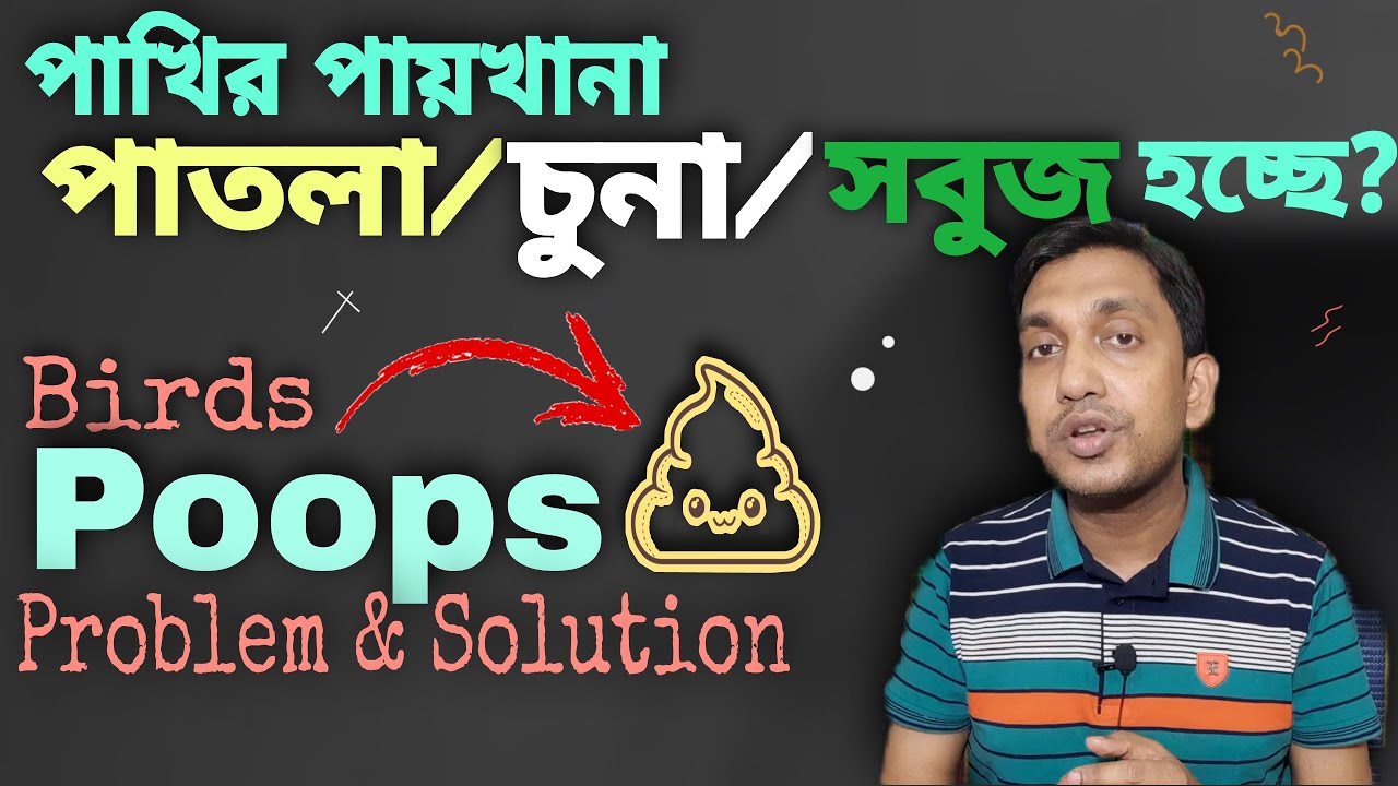 পাখির সবুজ/চুনা/পাতলা পায়খানার চিকিৎসা | Birds Diseases and Treatment (V-135)