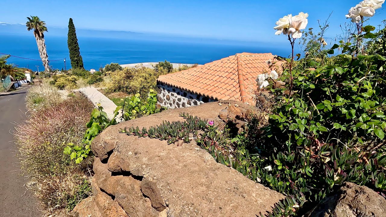 La Palma WetterCheck, Mittwoch 21. Mai | Gibt viel zu erzählen. Zeige euch Gärten u. Pflanzen