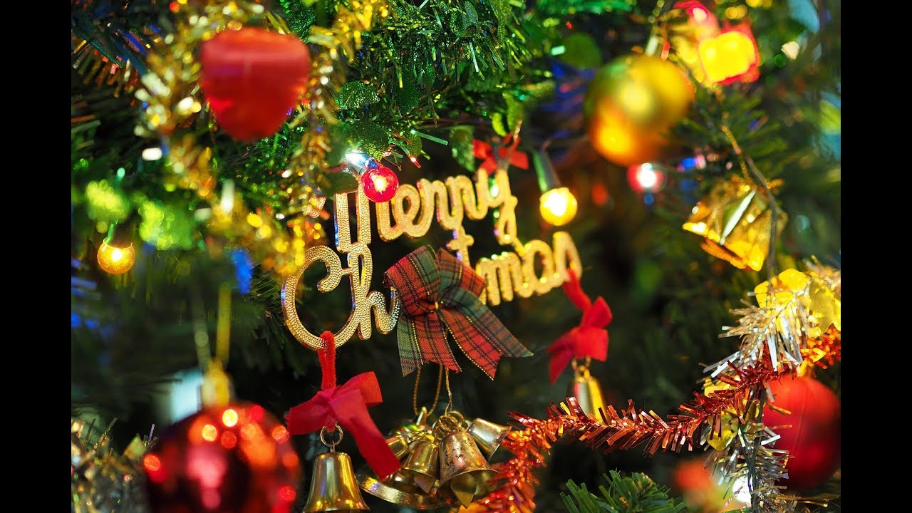 Top 15 Template Christmas After Effects