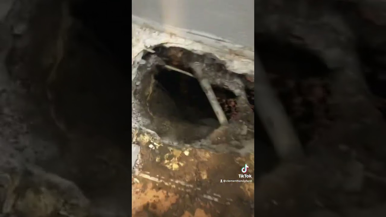 #digging a #tunnel for #elchapo #work #hardwork #fypシ