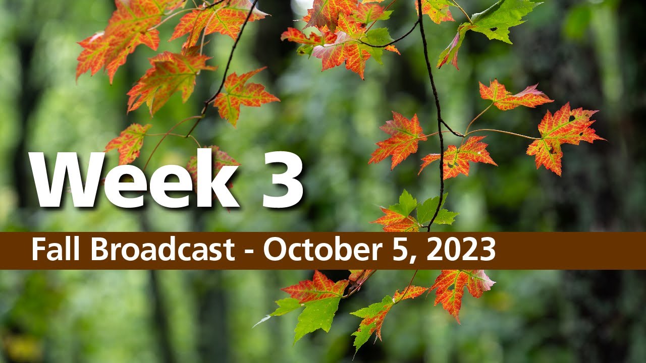 Fall Broadcast - Week 3