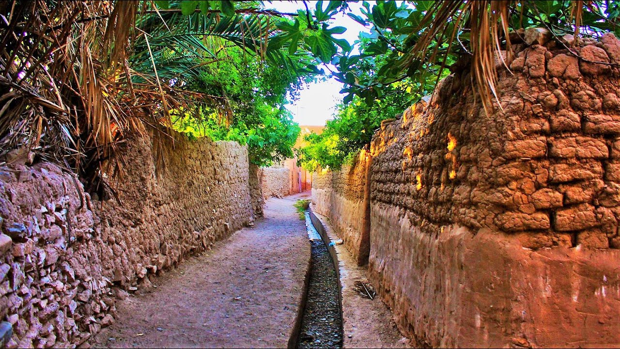 تعرفو على واحة تجموت بالأغواط😱🌴 بين عبق التاريخ و سحر المكان😱فيديو رائع🌴TADJEMOUT LAGHOUAT😱🌴