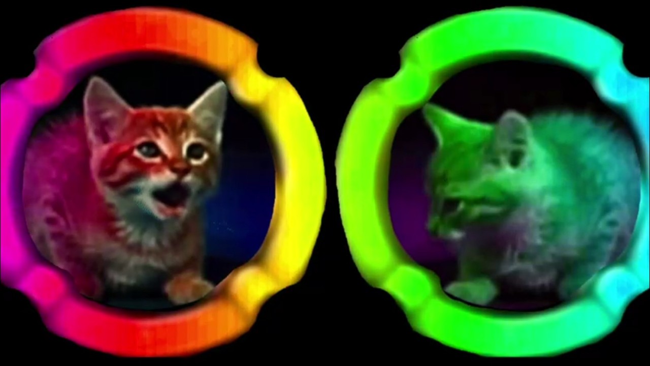 MTM Cat Twins Ident Logo Let's Effects