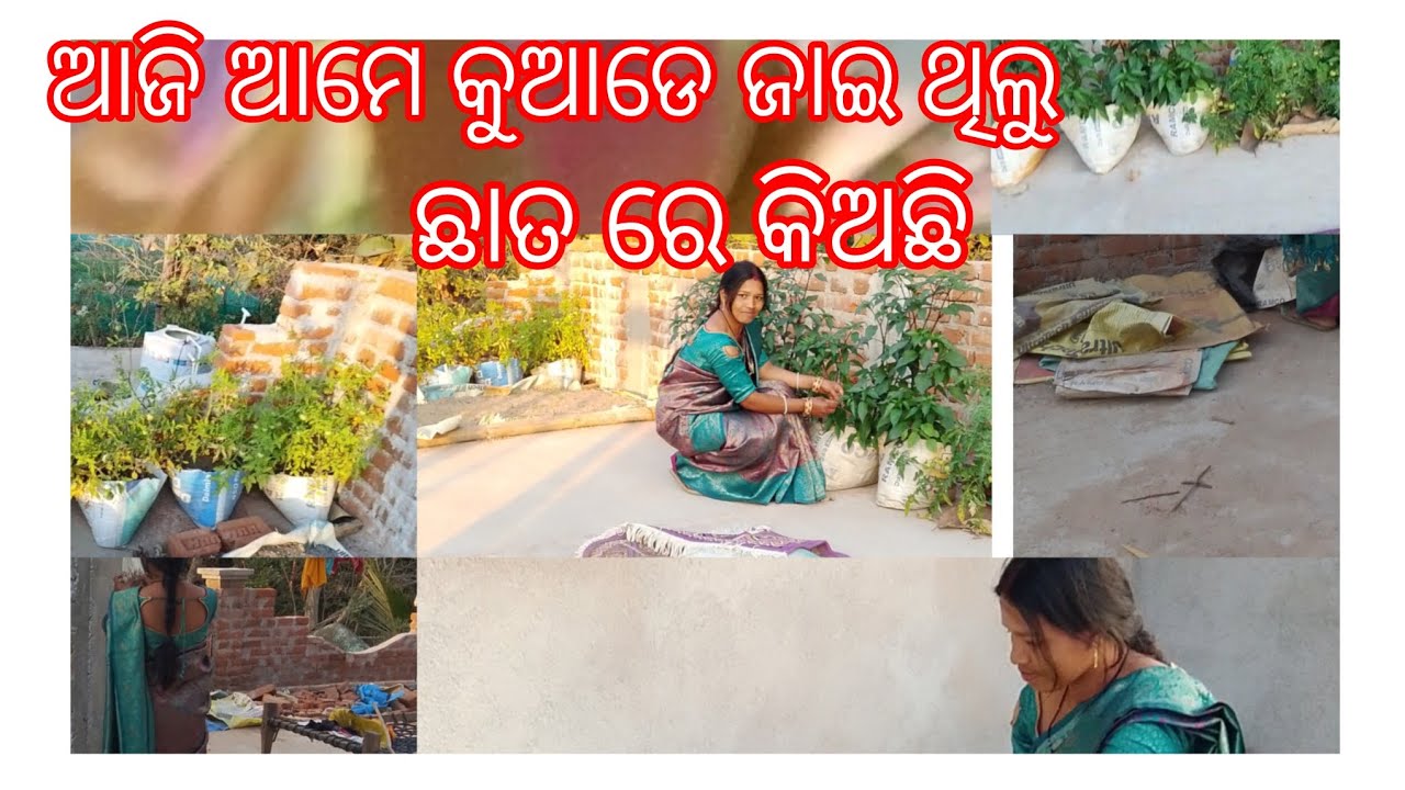 ଛାତ ଉପରେ କଣ ଅଛି ଦେଖି ଆଚାଜି ୟ