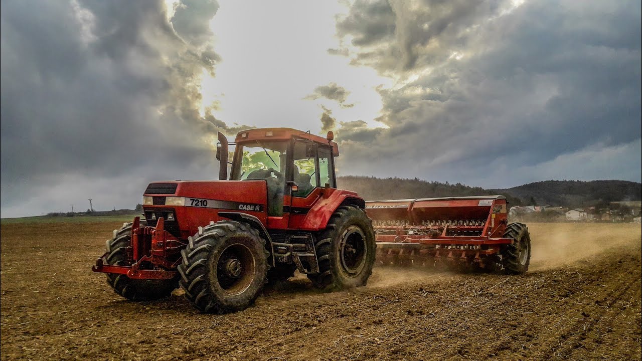 Case-IH 7210 a Semeato TDNG 420 Sejba ľanu/ Siew Iniane [4K]