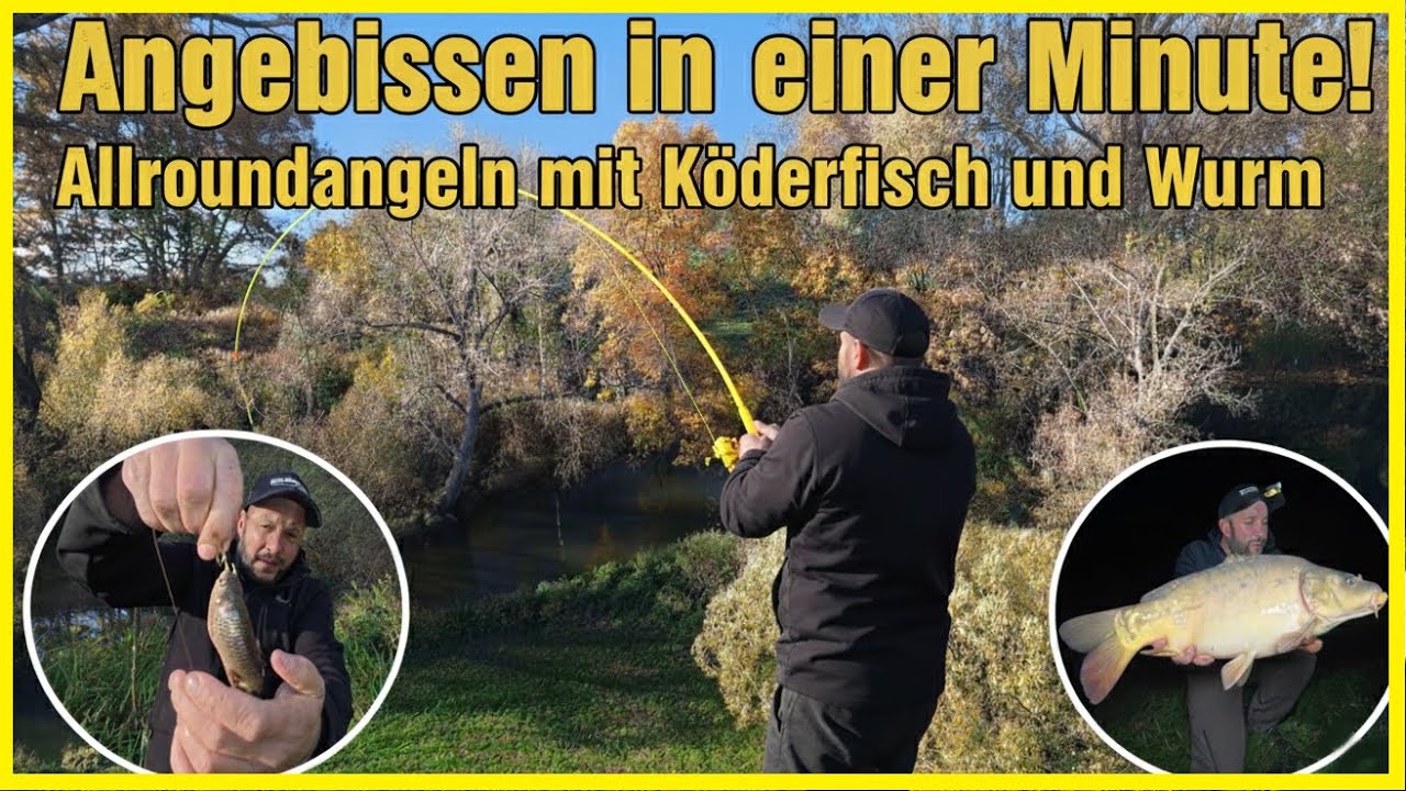 Allround-Angeln im Winter am Fluss erfolgreich über Nacht mit Köderfisch und Wurm 🎣