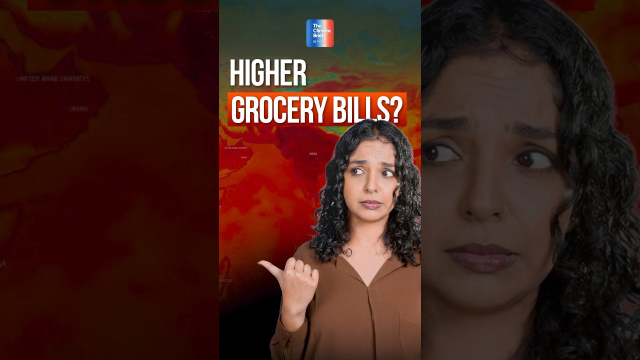 Why YOUR Food is About to Get More Expensive!