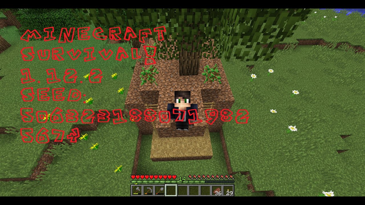 Minecraft 1.12.2 survival