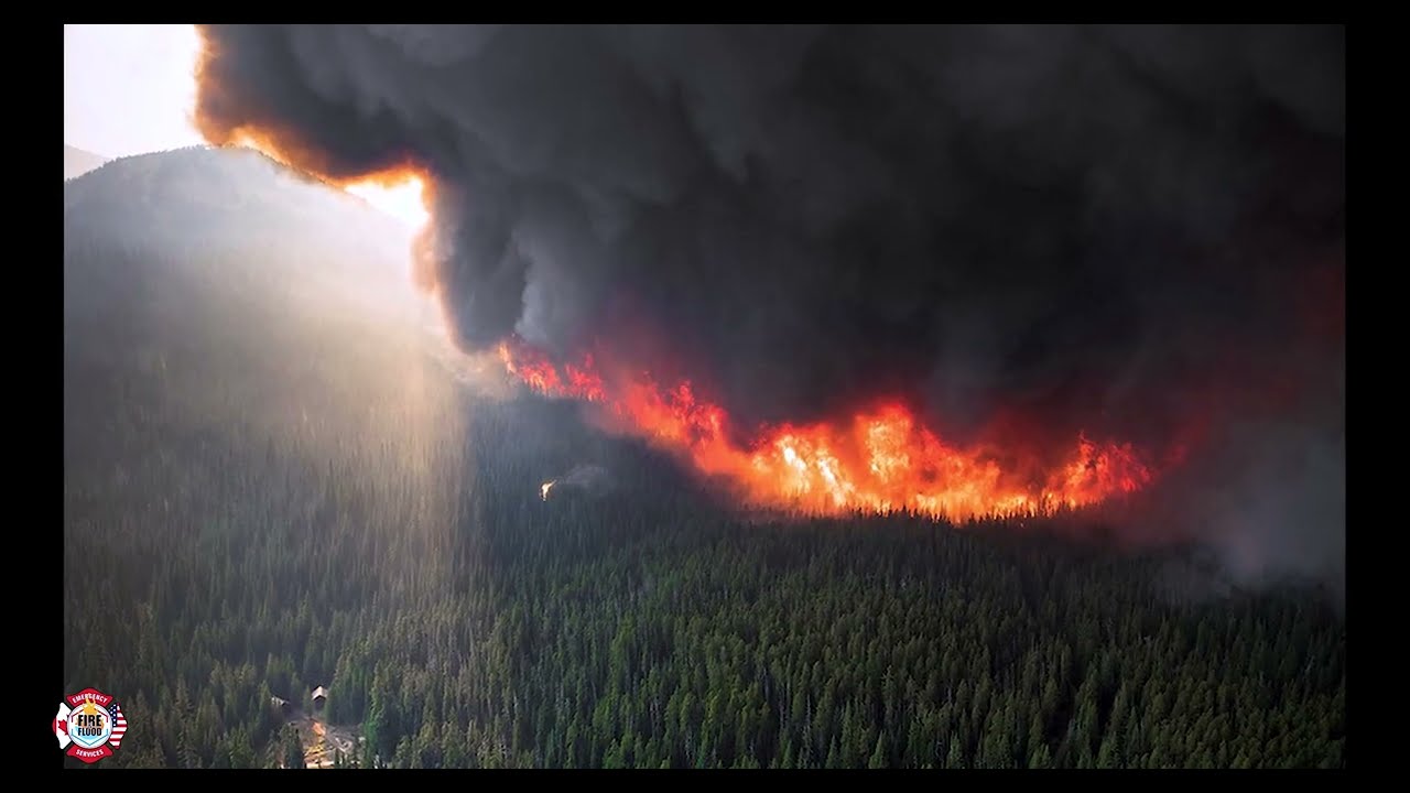 Advanced Technology: Helps to protect us from future fire and flood disasters.