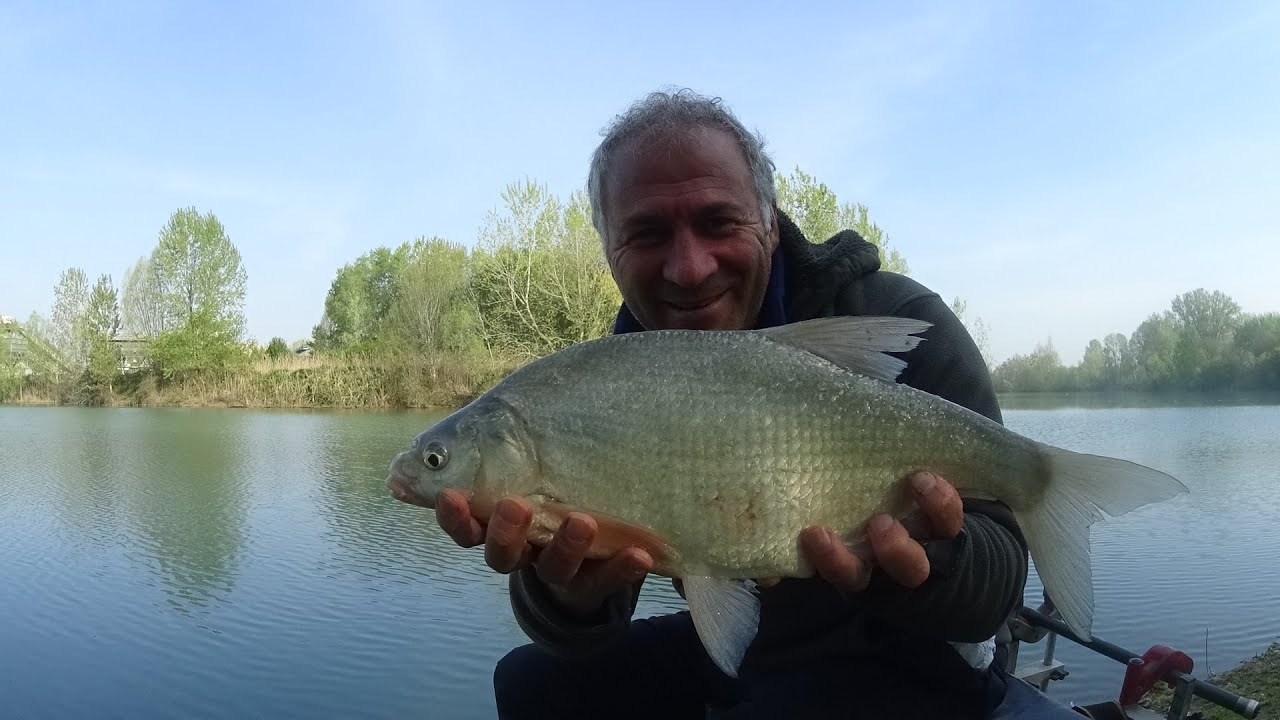 Gardon e Breme oltre 100 pesci