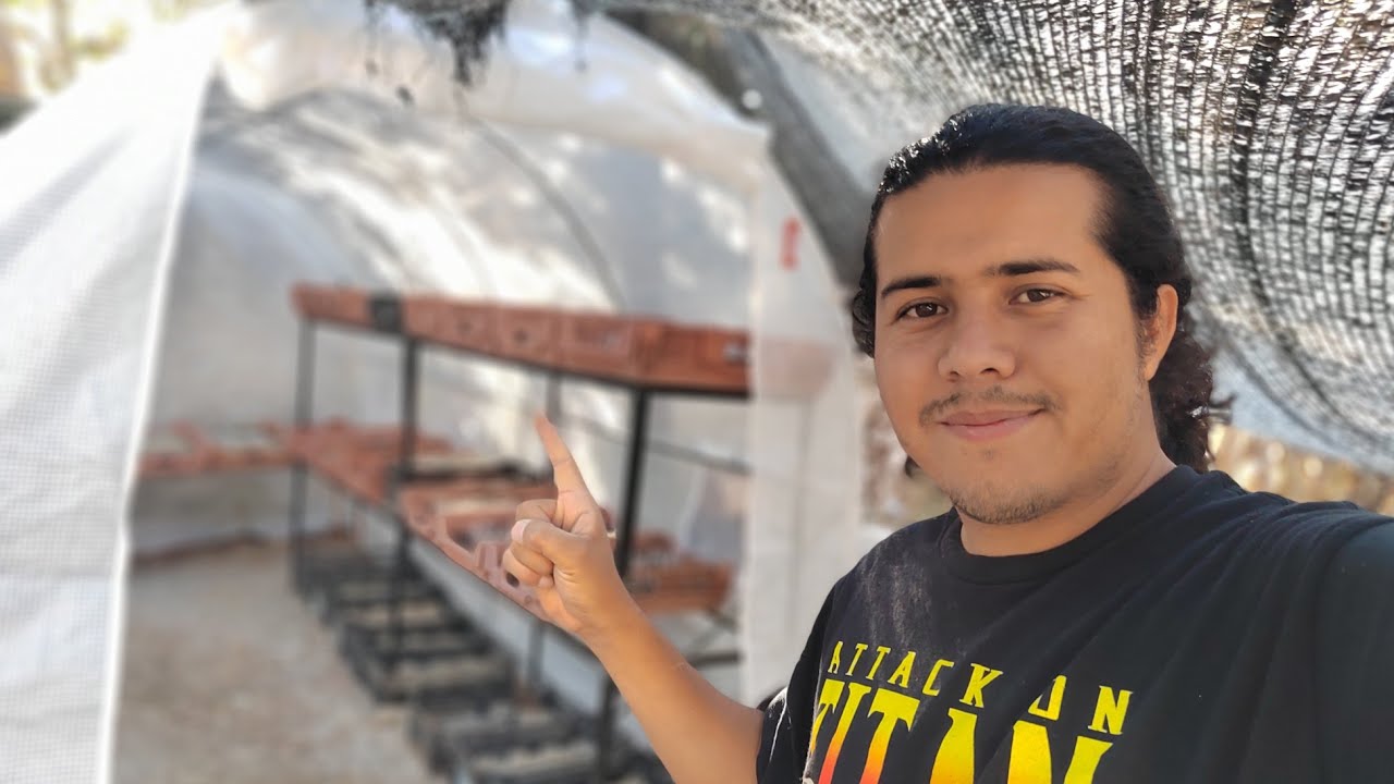 Un invernadero por menos de $3,500, te cuento mis impresiones. Invernadero Vevor