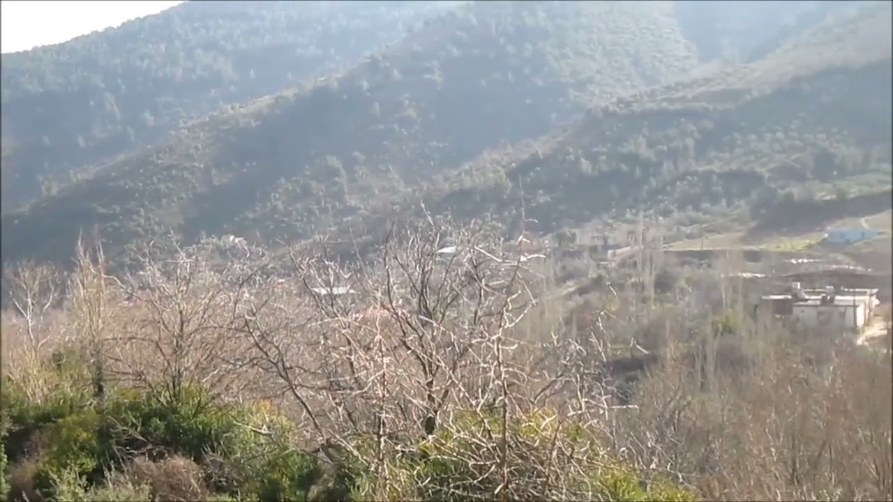 DEDEMLİ