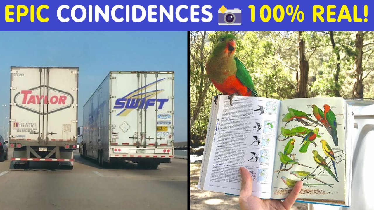 Photos Of Rare Coincidences You'd Think Were Photoshopped, But Aren't | Happy And Fun