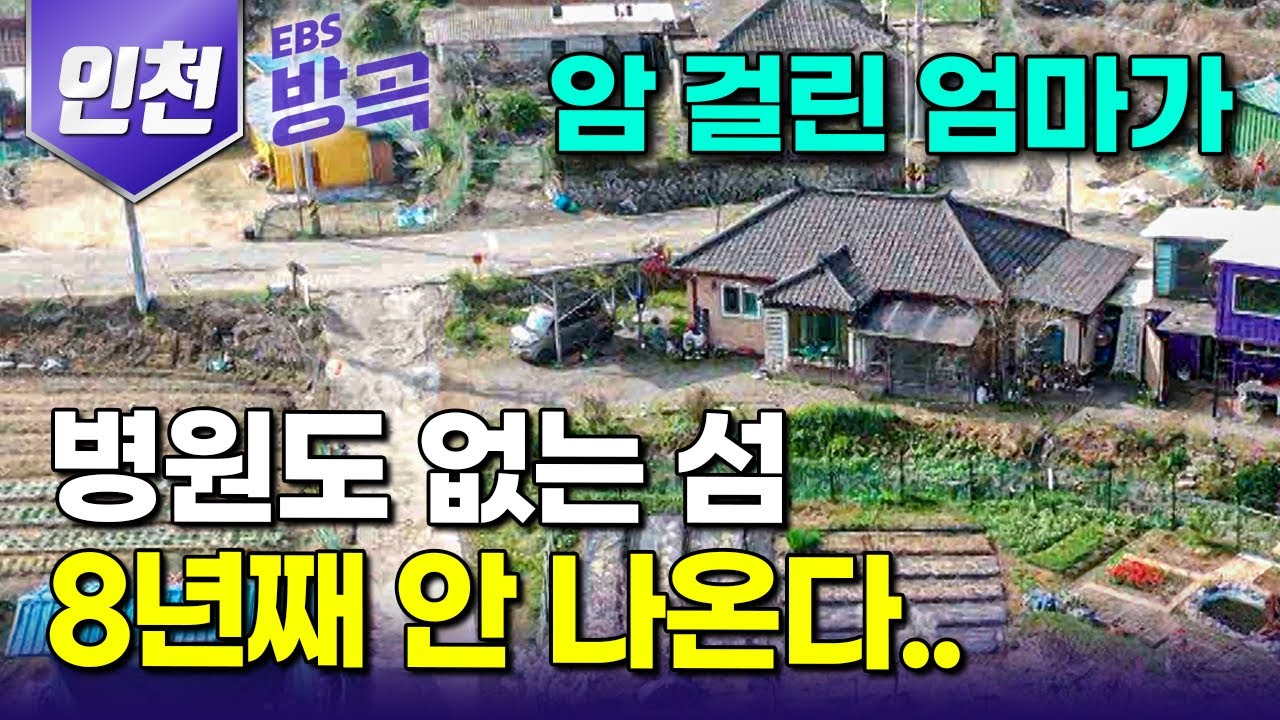 [인천광역시] 