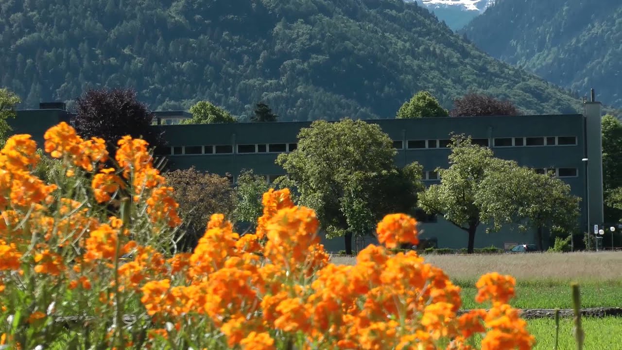 Panasonic HDC-HS900 video test in Switzerland 1080p