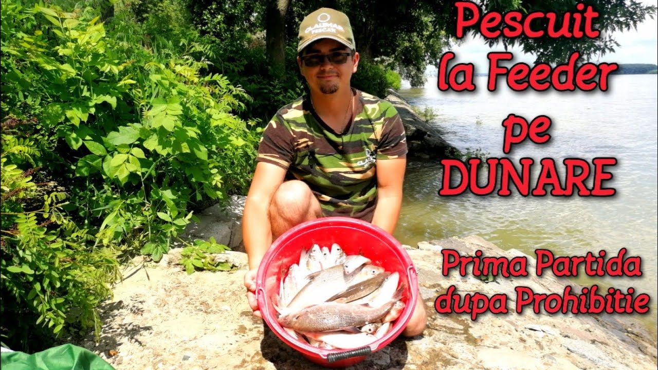 Pescuit la FEEDER pe DUNĂRE - prima PARTIDĂ după PROHIBIȚIE pe FALEZA DUNĂRII din GALAȚI