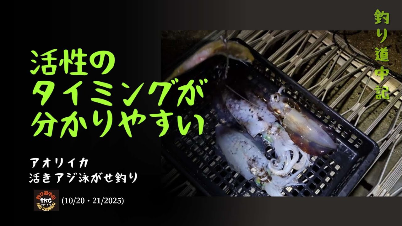 【アオリイカ】アジの泳がせ釣り能登釣行録10/20・21未明からの活性状況。