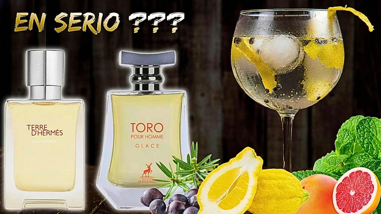 MAISON ALHAMBRA TORO GLACE VS TERRE D´HERMÈS EAU GIVRÈE